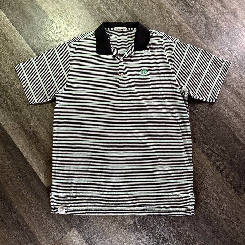 Peter Millar Desert Willow Golf Resort Mens Size Large Polo Shirt Golf Striped